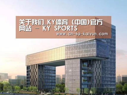 案例展示四