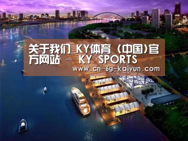 案例展示八