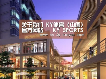 案例展示一