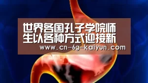世界各国孔子学院师生以各种方式迎接新学期‘ky体育电脑版’(图2) ky体育